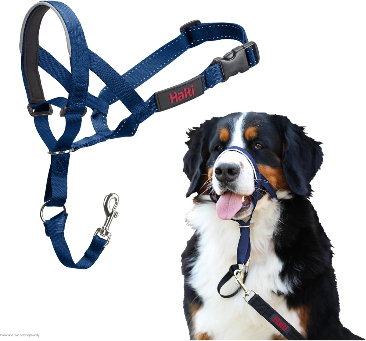 Headcollar | Size 3, Black | Training Collar for Medium Dogs