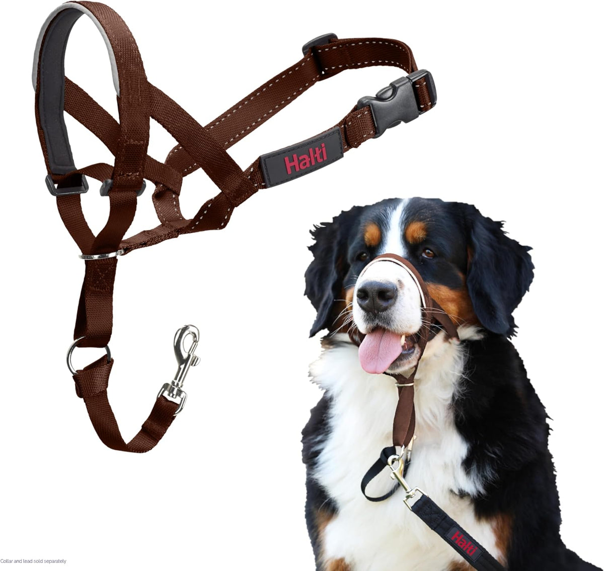 Headcollar | Size 3, Black | Training Collar for Medium Dogs