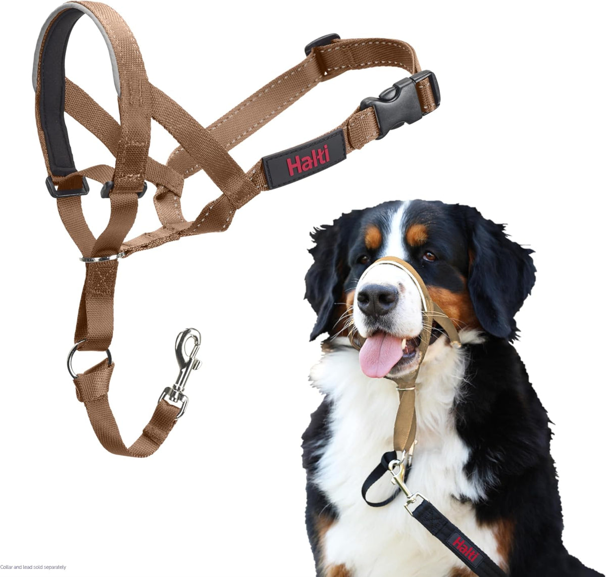 Headcollar | Size 3, Black | Training Collar for Medium Dogs