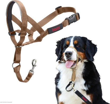 Headcollar | Size 3, Black | Training Collar for Medium Dogs