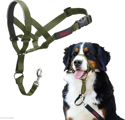 Headcollar | Size 3, Black | Training Collar for Medium Dogs