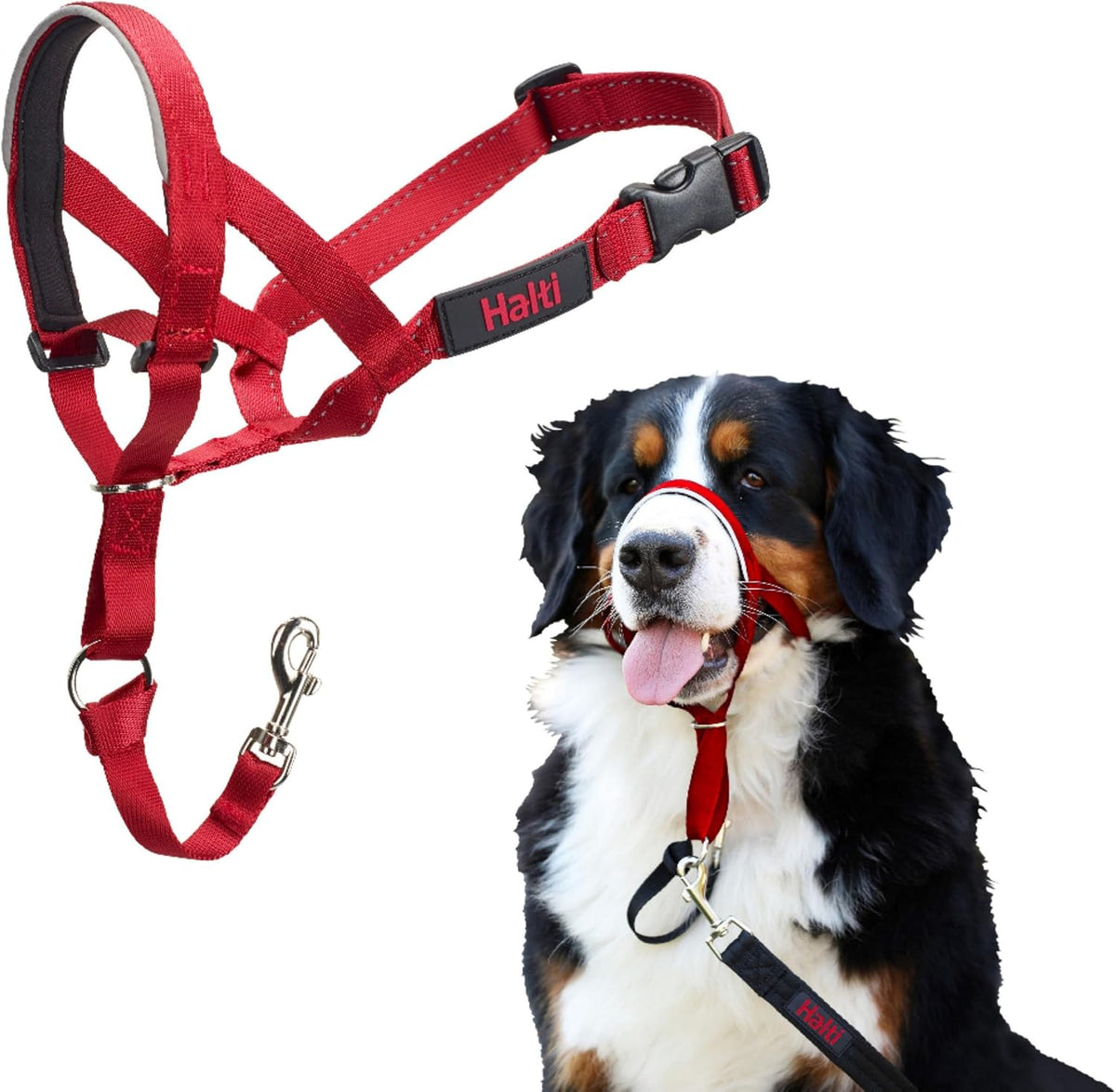 Headcollar | Size 3, Black | Training Collar for Medium Dogs