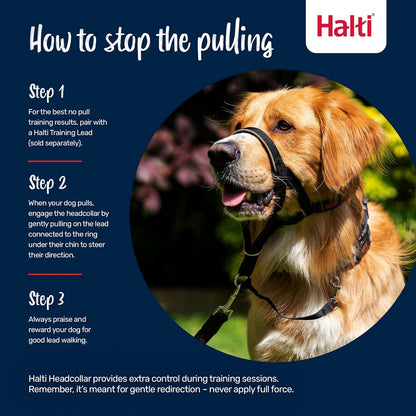 Headcollar | Size 3, Black | Training Collar for Medium Dogs