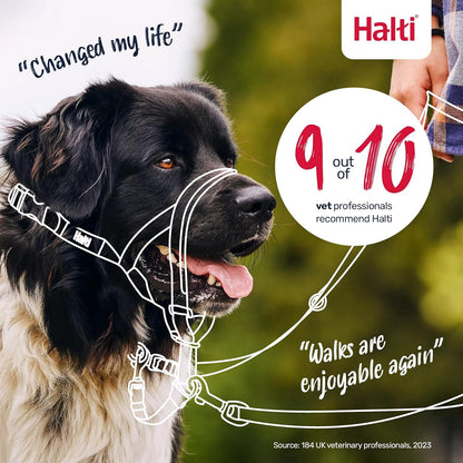 Headcollar | Size 3, Black | Training Collar for Medium Dogs