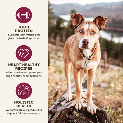 MaxMeat Holistic Air Dried Dry Dog Food - All Natural, High Protein, Grain Free - Made with Real Meat - Beef with Pumpkin & Parsley 2 lb