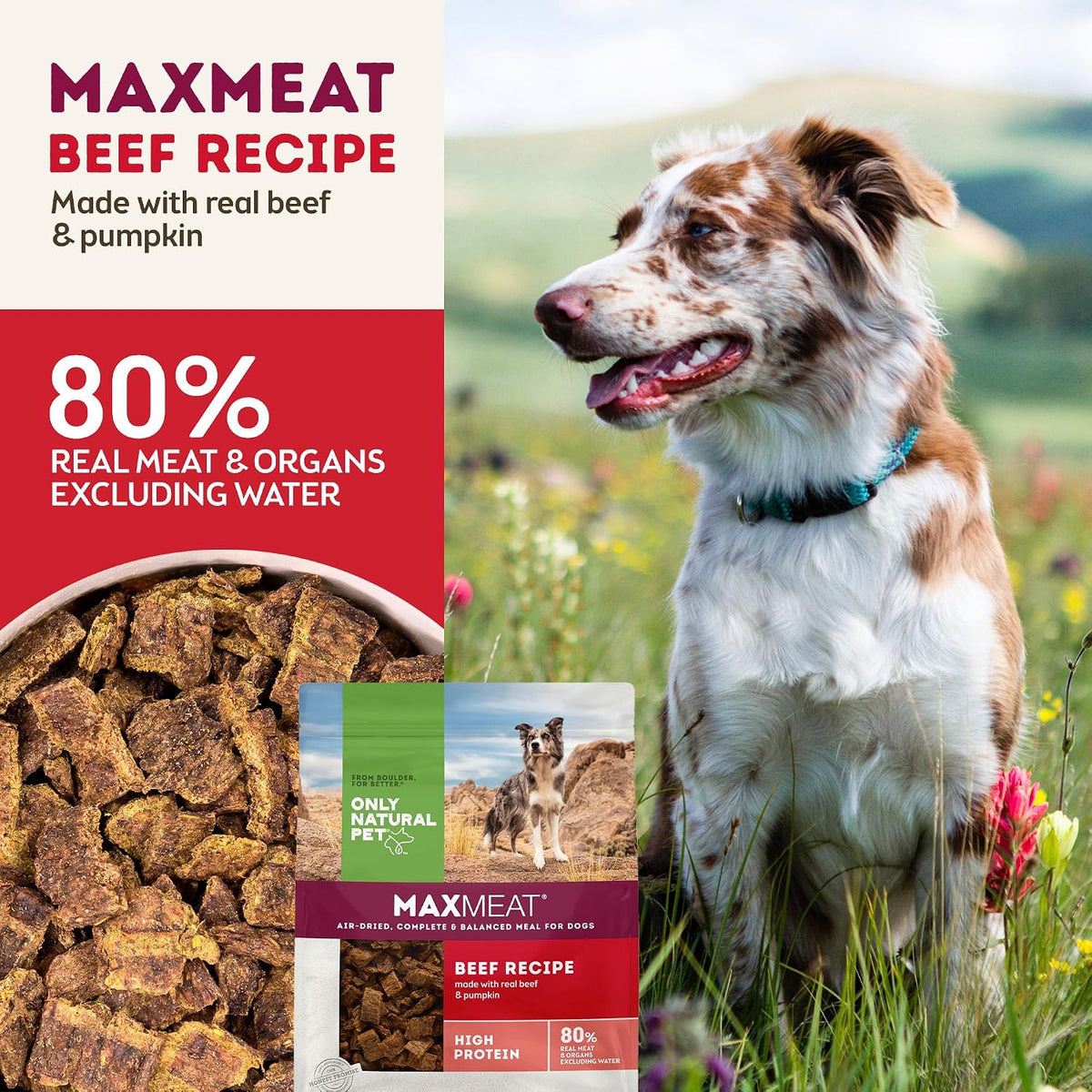 MaxMeat Holistic Air Dried Dry Dog Food - All Natural, High Protein, Grain Free - Made with Real Meat - Beef with Pumpkin & Parsley 2 lb