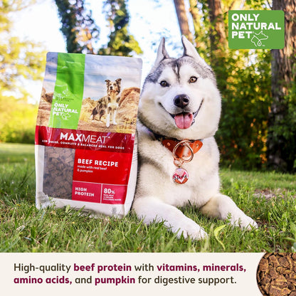 MaxMeat Holistic Air Dried Dry Dog Food - All Natural, High Protein, Grain Free - Made with Real Meat - Beef with Pumpkin & Parsley 2 lb