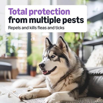 Flea and Tick Topical Treatment and Prevention for Large Dogs (45-88 lbs), Fast Acting and Long Lasting, Packaging May Vary