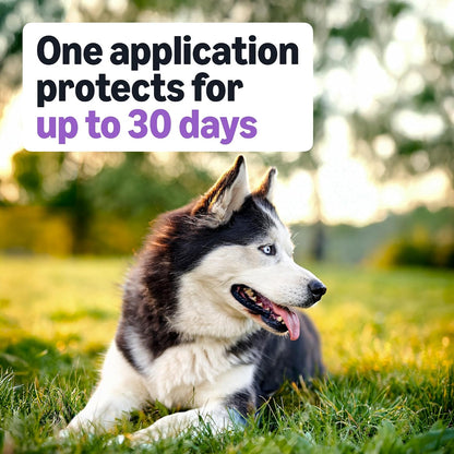 Flea and Tick Topical Treatment and Prevention for Large Dogs (45-88 lbs), Fast Acting and Long Lasting, Packaging May Vary