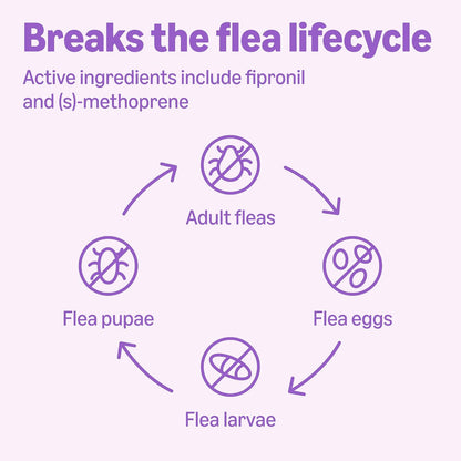 Flea and Tick Topical Treatment and Prevention for Large Dogs (45-88 lbs), Fast Acting and Long Lasting, Packaging May Vary