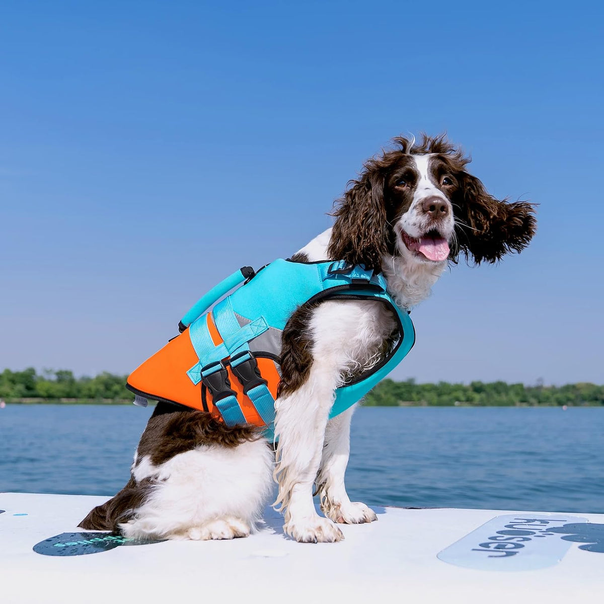 Dog Life Jacket with Rescue Handle, High Flotation Dogs Swim Vest with Reflective Strips,Adjustable Dog Life Vest for Swimming, Boating, Pool&Beach, Doggy Lifejacket for Small Medium Large Dogs