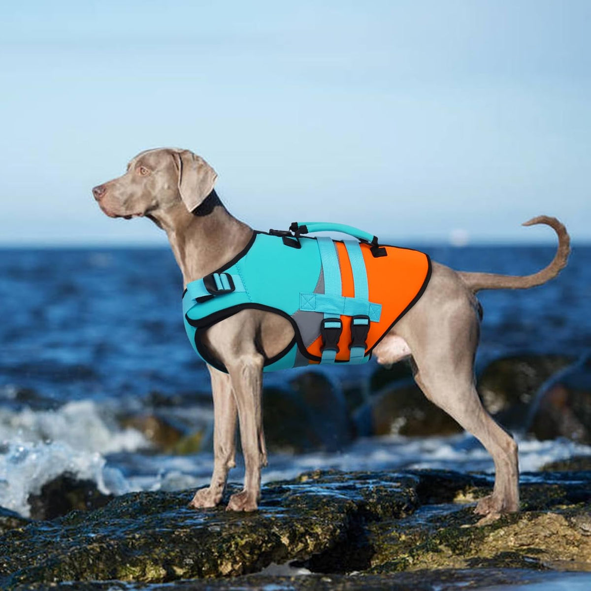Dog Life Jacket with Rescue Handle, High Flotation Dogs Swim Vest with Reflective Strips,Adjustable Dog Life Vest for Swimming, Boating, Pool&Beach, Doggy Lifejacket for Small Medium Large Dogs