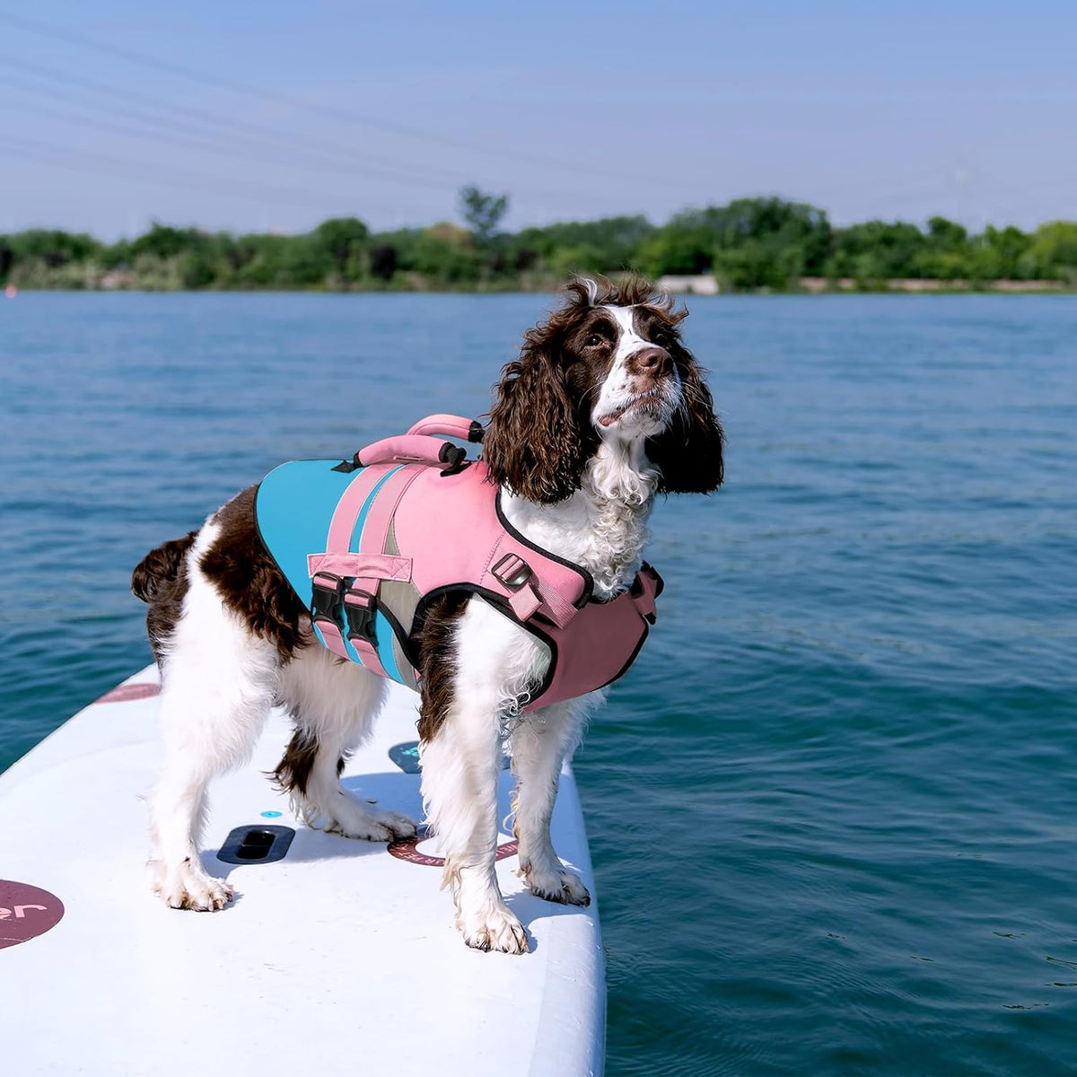 Dog Life Jacket with Rescue Handle, High Flotation Dogs Swim Vest with Reflective Strips,Adjustable Dog Life Vest for Swimming, Boating, Pool&Beach, Doggy Lifejacket for Small Medium Large Dogs
