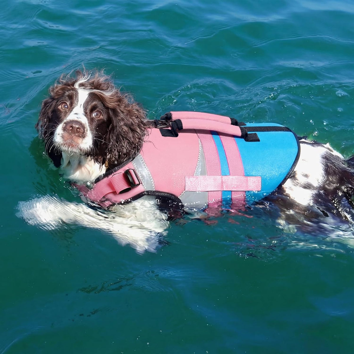 Dog Life Jacket with Rescue Handle, High Flotation Dogs Swim Vest with Reflective Strips,Adjustable Dog Life Vest for Swimming, Boating, Pool&Beach, Doggy Lifejacket for Small Medium Large Dogs