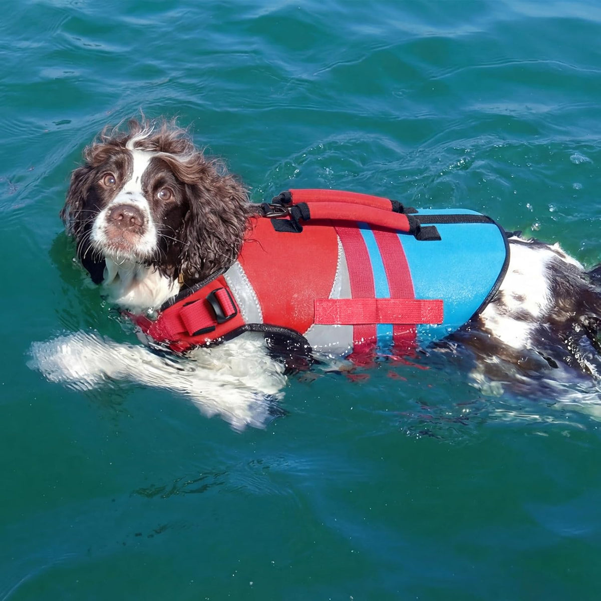 Dog Life Jacket with Rescue Handle, High Flotation Dogs Swim Vest with Reflective Strips,Adjustable Dog Life Vest for Swimming, Boating, Pool&Beach, Doggy Lifejacket for Small Medium Large Dogs