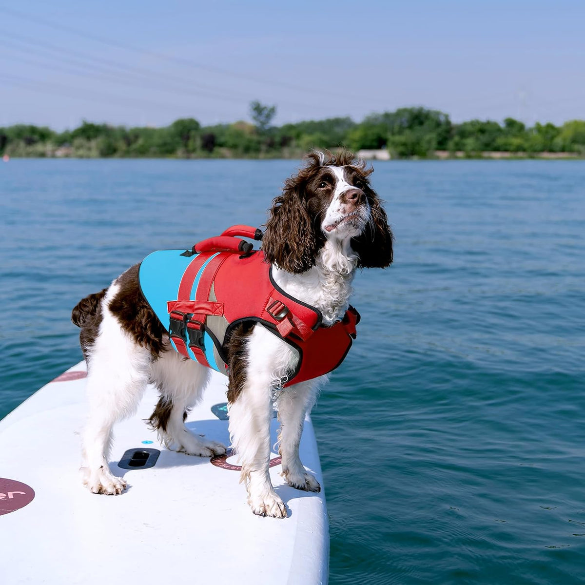 Dog Life Jacket with Rescue Handle, High Flotation Dogs Swim Vest with Reflective Strips,Adjustable Dog Life Vest for Swimming, Boating, Pool&Beach, Doggy Lifejacket for Small Medium Large Dogs