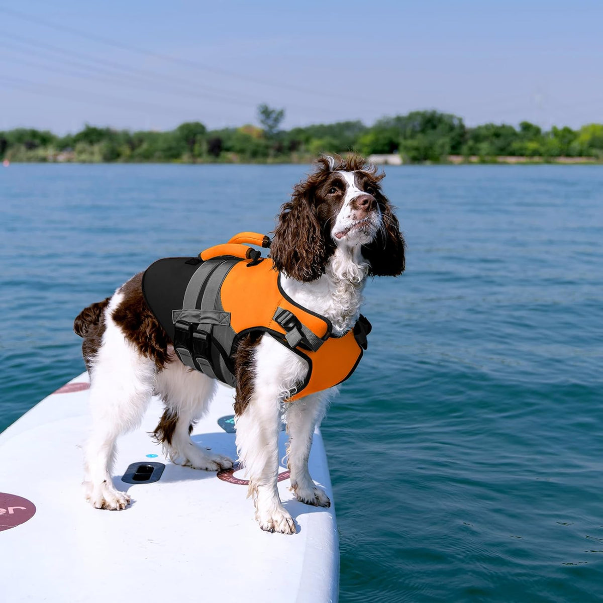 Dog Life Jacket with Rescue Handle, High Flotation Dogs Swim Vest with Reflective Strips,Adjustable Dog Life Vest for Swimming, Boating, Pool&Beach, Doggy Lifejacket for Small Medium Large Dogs