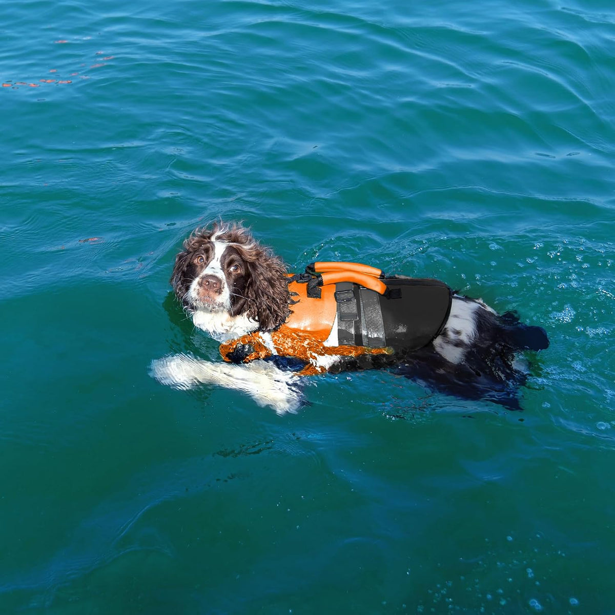 Dog Life Jacket with Rescue Handle, High Flotation Dogs Swim Vest with Reflective Strips,Adjustable Dog Life Vest for Swimming, Boating, Pool&Beach, Doggy Lifejacket for Small Medium Large Dogs