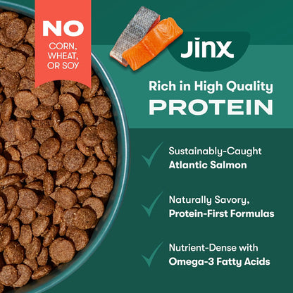 Grain Free Dry Dog Food - Real Salmon, Sweet Potato & Carrot, 4lb