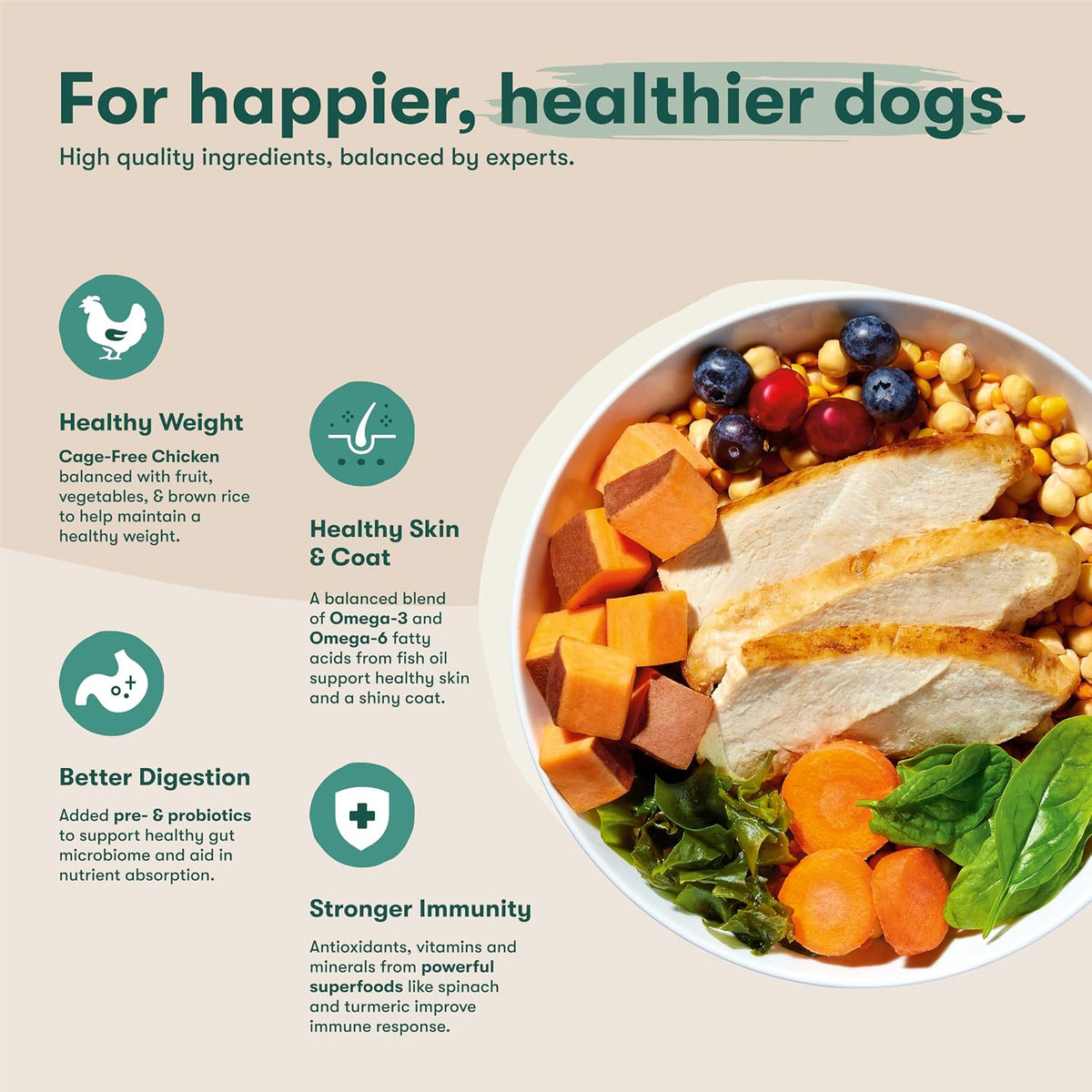 Grain Free Dry Dog Food - Real Salmon, Sweet Potato & Carrot, 4lb