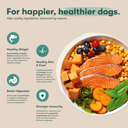Grain Free Dry Dog Food - Real Salmon, Sweet Potato & Carrot, 4lb