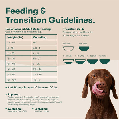Grain Free Dry Dog Food - Real Salmon, Sweet Potato & Carrot, 4lb