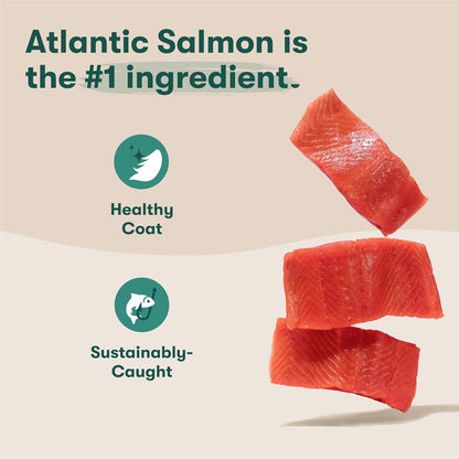 Grain Free Dry Dog Food - Real Salmon, Sweet Potato & Carrot, 4lb