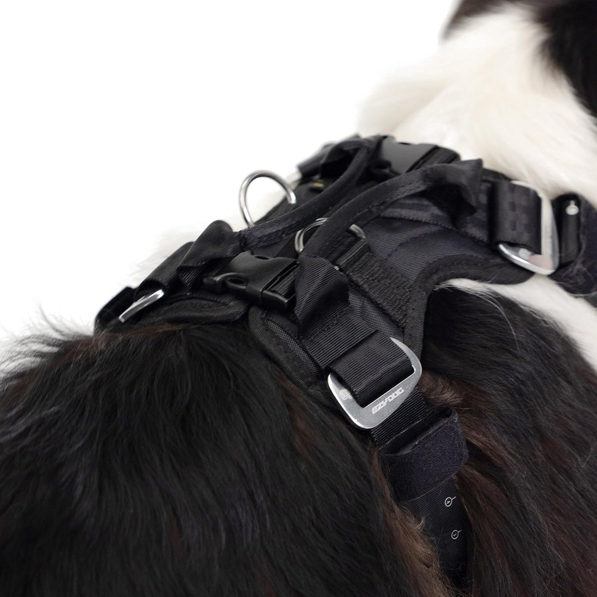 Drive Dog Car Harness, Crash Tested and Certified - Medium
