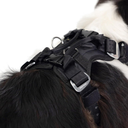 Drive Dog Car Harness, Crash Tested and Certified - Medium