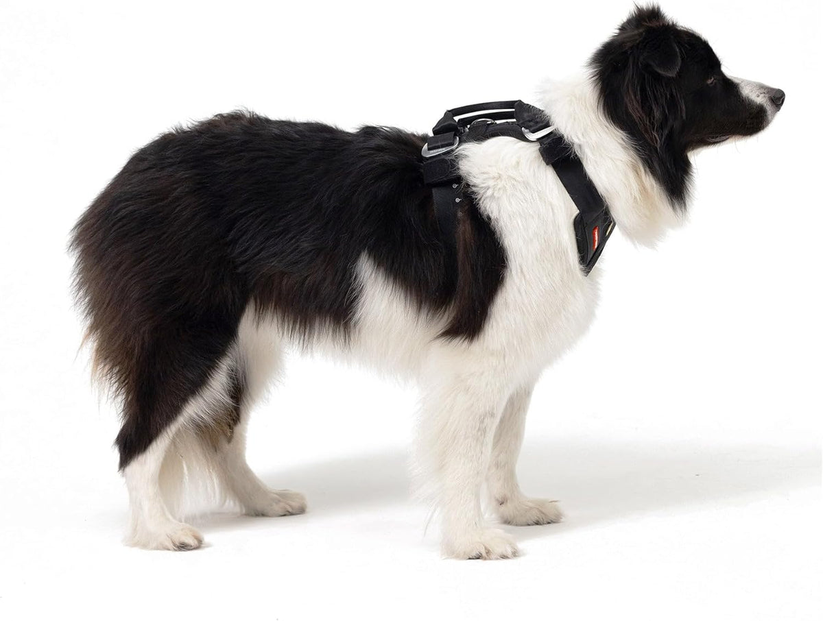 Drive Dog Car Harness, Crash Tested and Certified - Medium