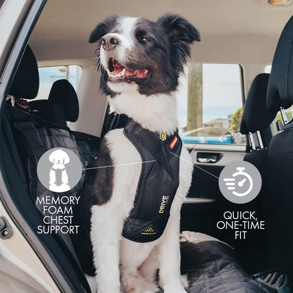 Drive Dog Car Harness, Crash Tested and Certified - Medium