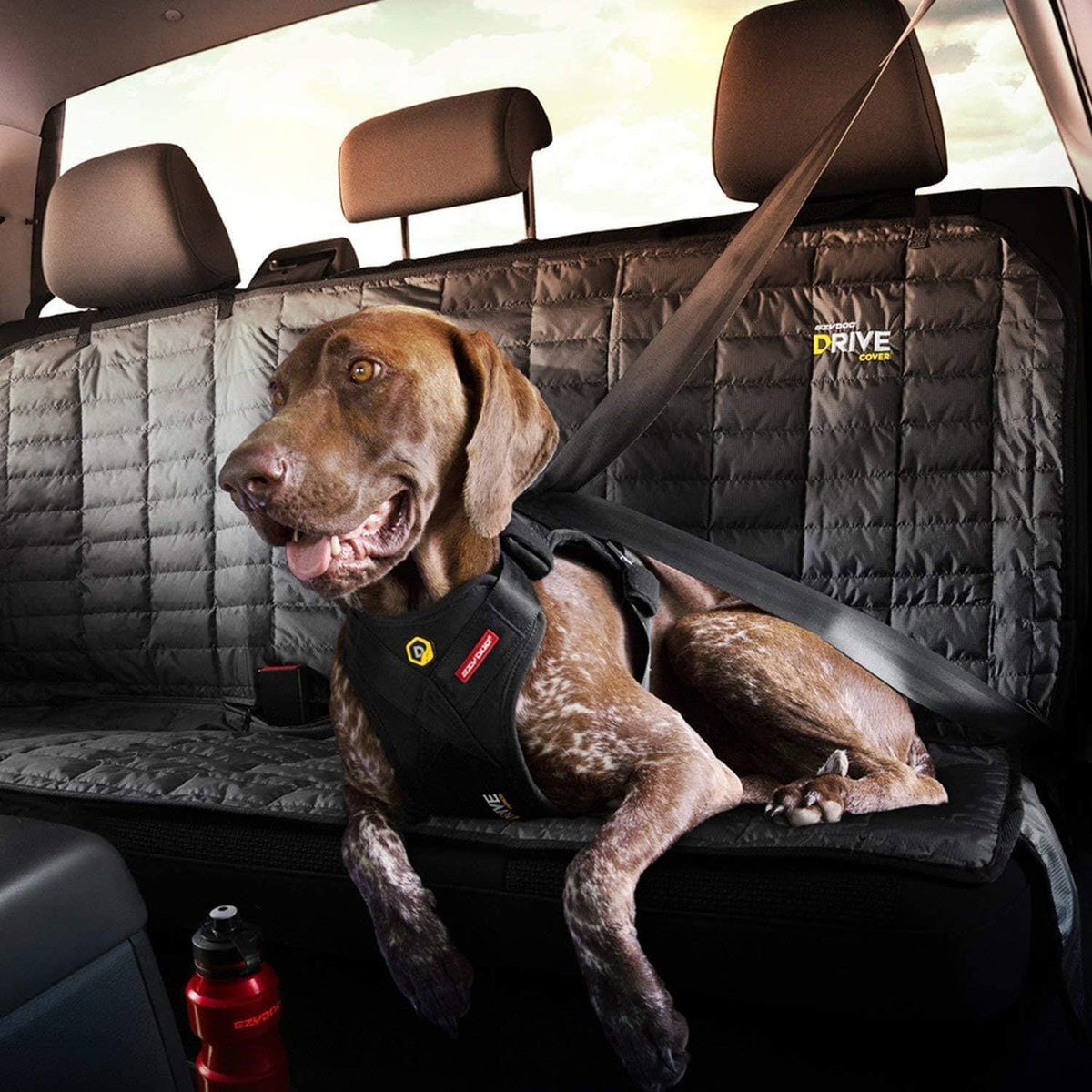 Drive Dog Car Harness, Crash Tested and Certified - Medium