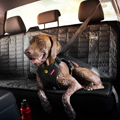 Drive Dog Car Harness, Crash Tested and Certified - Medium