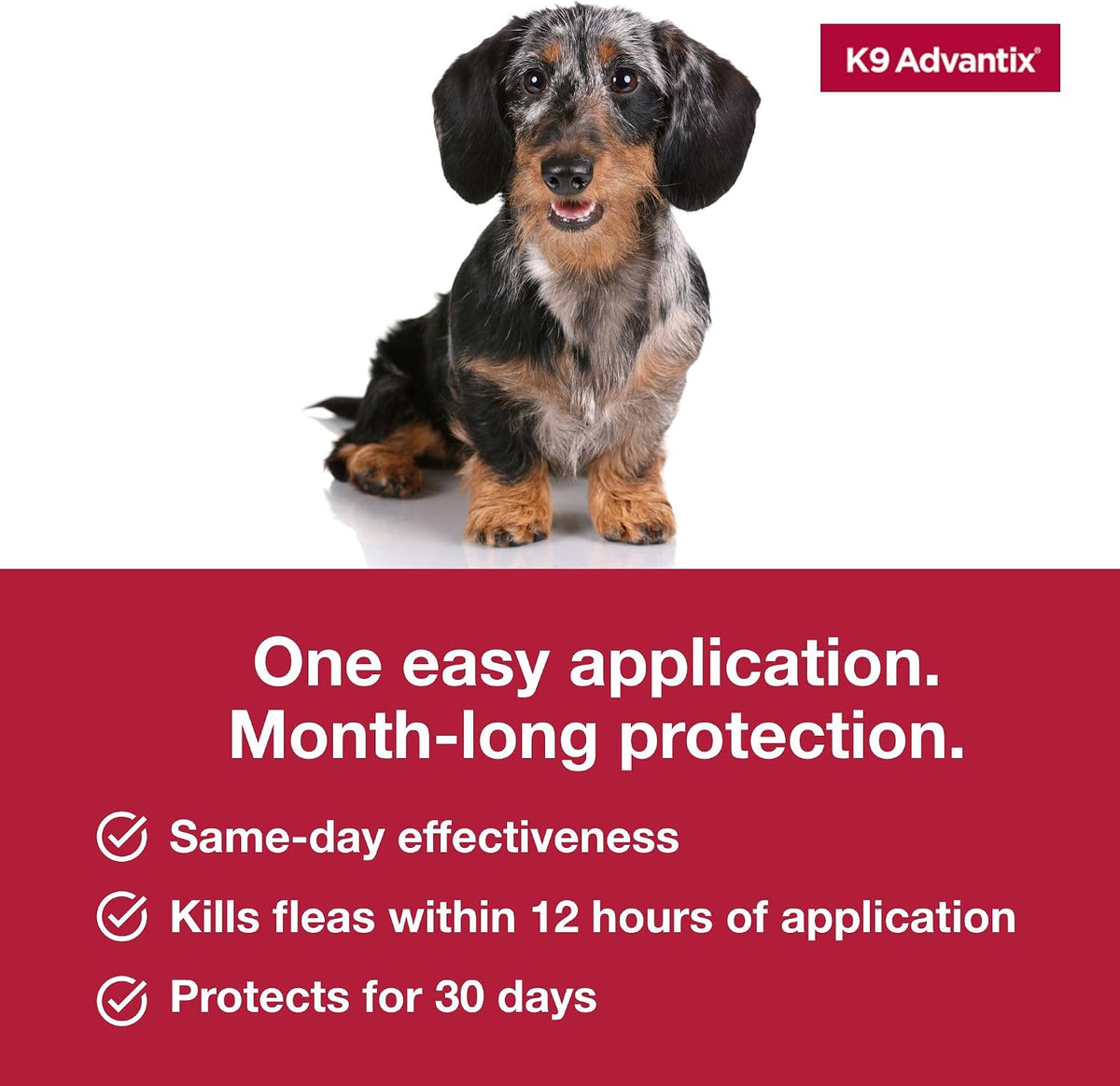 Flea, Tick & Mosquito Prevention for Dogs 4-10 lbs. | Flea Drops for Small Dogs | Apply Monthly | 2 Treatments