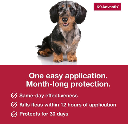 Flea, Tick & Mosquito Prevention for Dogs 4-10 lbs. | Flea Drops for Small Dogs | Apply Monthly | 2 Treatments