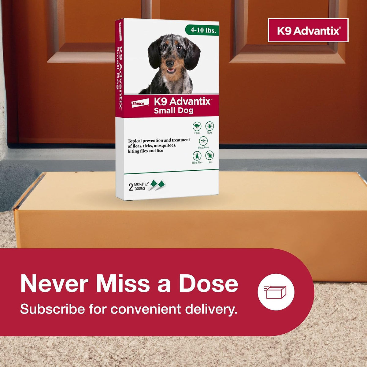 Flea, Tick & Mosquito Prevention for Dogs 4-10 lbs. | Flea Drops for Small Dogs | Apply Monthly | 2 Treatments