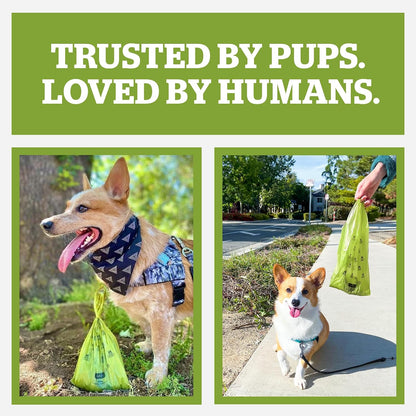 Pogi's Dog Poop Bag Holder & Dispenser, Unscented, Carabiner (15 Bags)