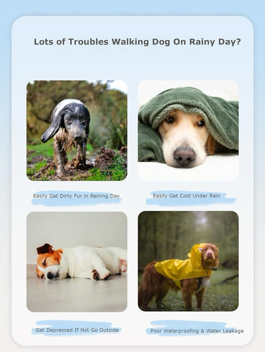 Waterproof Dog Raincoat,Full Coverage 4 Legs Dog Rain Jacket for Small Dogs,Pet Rain Coat with Hood,Reflective Strips&Leash Hole Outdoor Raincoat (Medium（for Weight 5.1-8.1 lb）, Blue)
