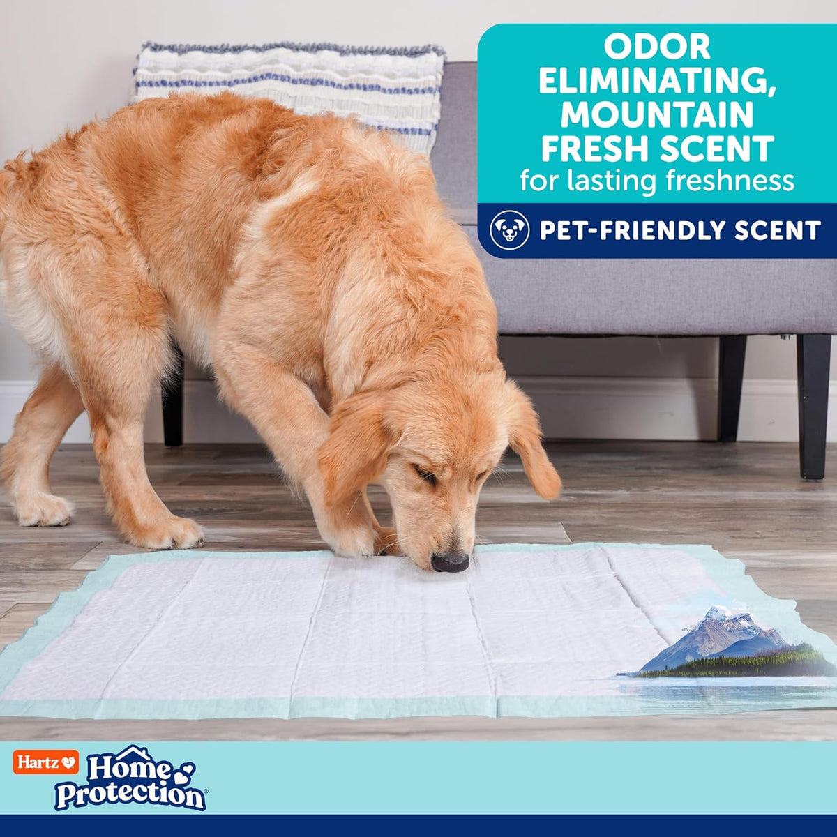 Home Protection Super Absorbent Odor Eliminating Mountain Fresh Scented No Leak Dog Pads, XXL
