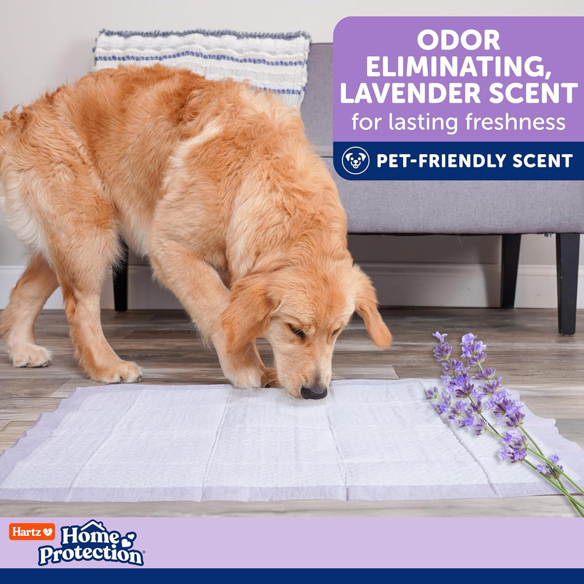Home Protection Super Absorbent Odor Eliminating Mountain Fresh Scented No Leak Dog Pads, XXL