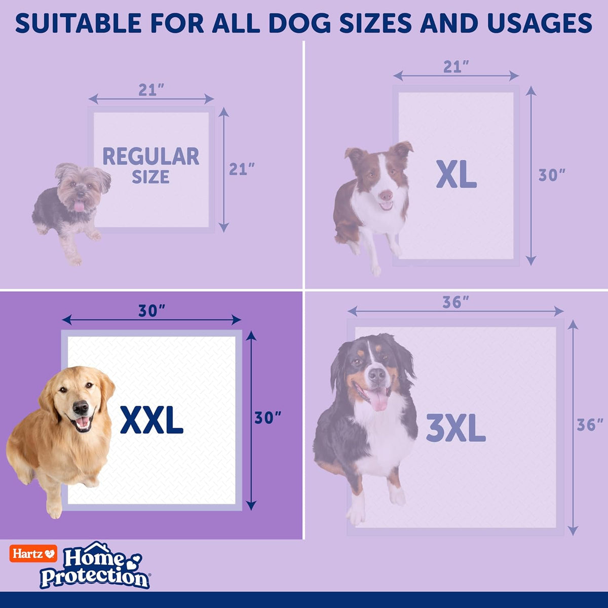 Home Protection Super Absorbent Odor Eliminating Mountain Fresh Scented No Leak Dog Pads, XXL