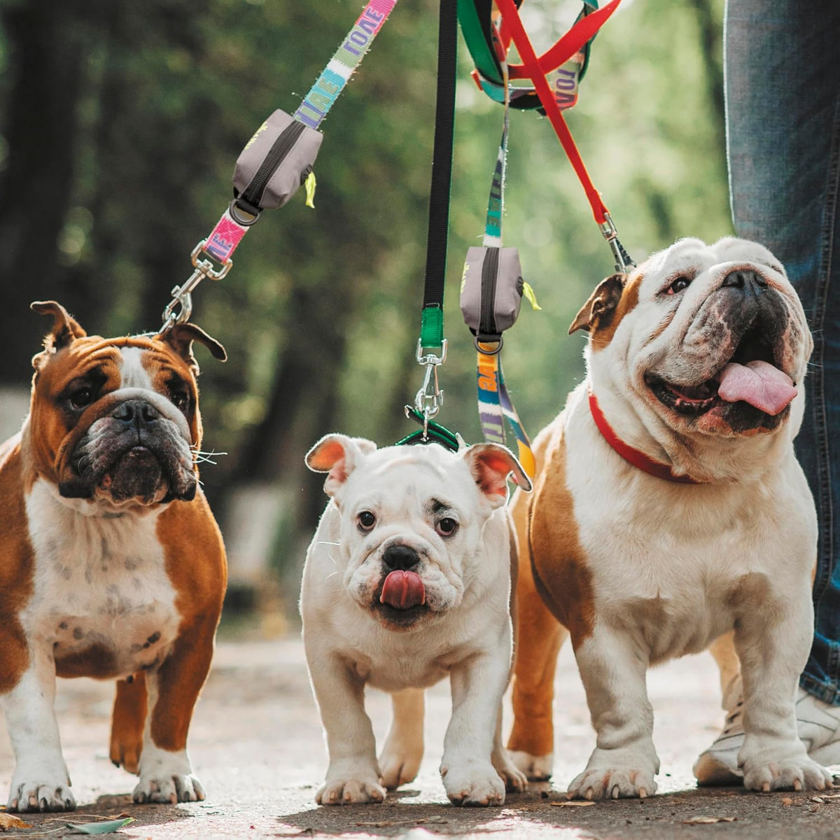 Dog Poop Bag Holder for Leashes with Velcro Attachment
