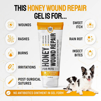 Dog Wound Care with Manuka Honey & Colloidal Silver for Scratches & Skin Irritations – Cat & Dog Hot Spot Treatment Gel Works as Honey Rapid Wound Repair for Horses – for All Pets – 2-Oz