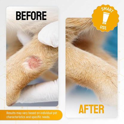 Dog Wound Care with Manuka Honey & Colloidal Silver for Scratches & Skin Irritations – Cat & Dog Hot Spot Treatment Gel Works as Honey Rapid Wound Repair for Horses – for All Pets – 2-Oz