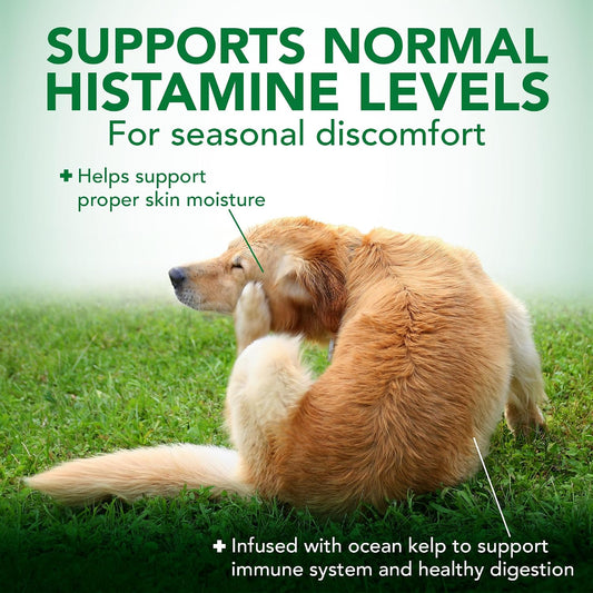 Seasonal Allergy Soft Chews for Dogs, Soothes Dog, 30 Day Supply