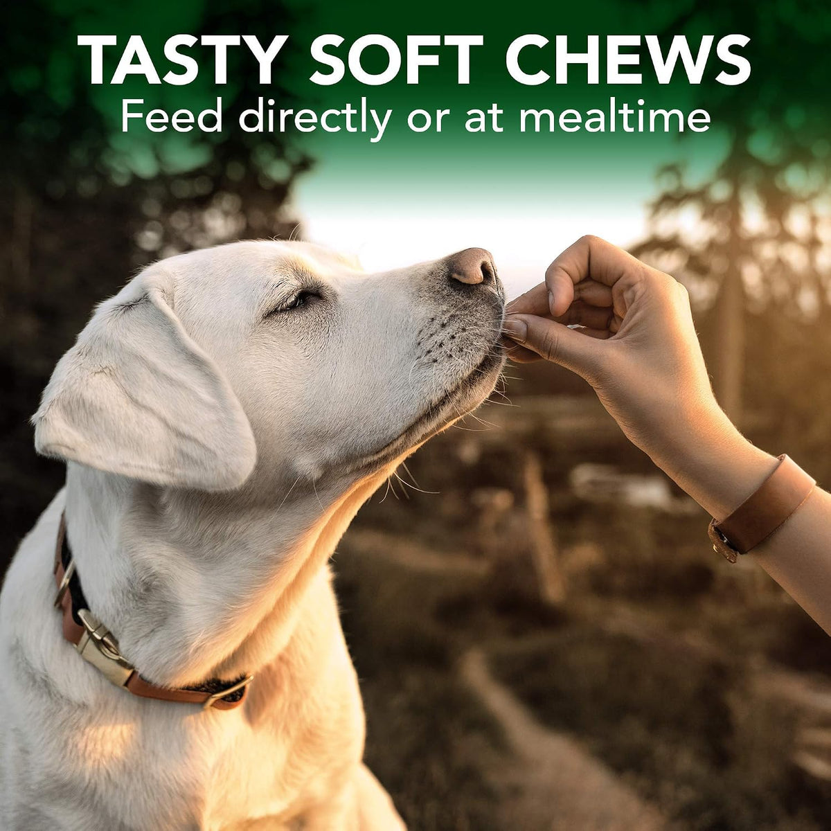 Seasonal Allergy Soft Chews for Dogs, Soothes Dog, 30 Day Supply