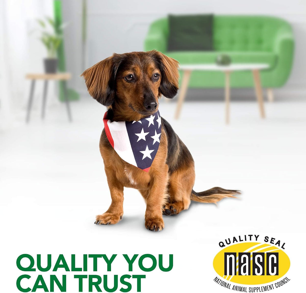 Seasonal Allergy Soft Chews for Dogs, Soothes Dog, 30 Day Supply