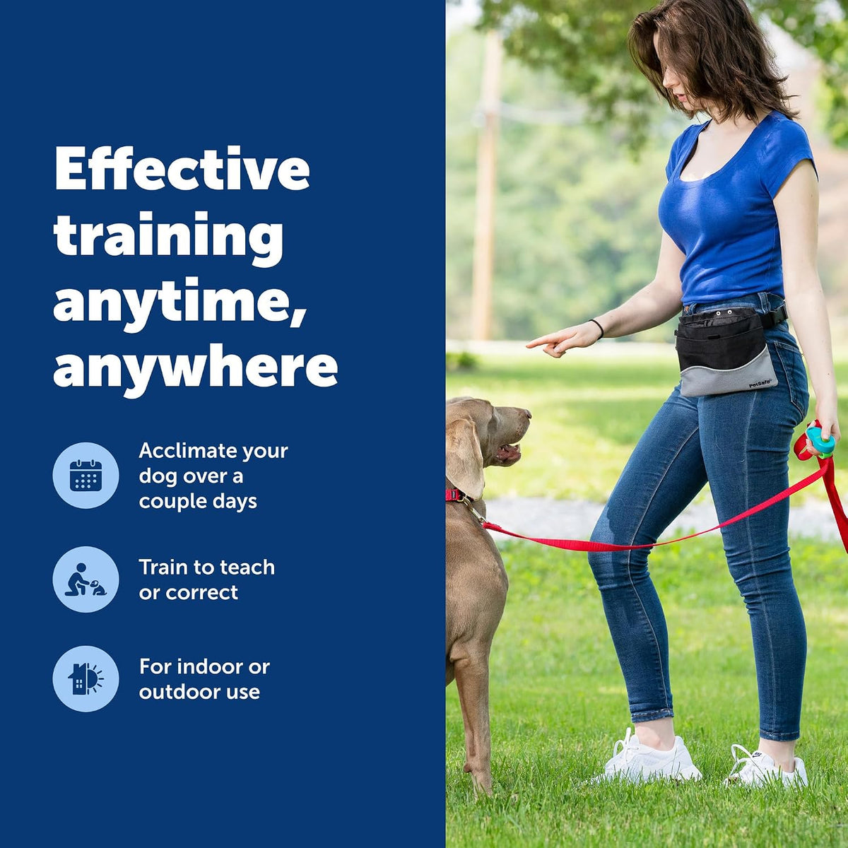 Clik-R Dog Training Clicker, Blue