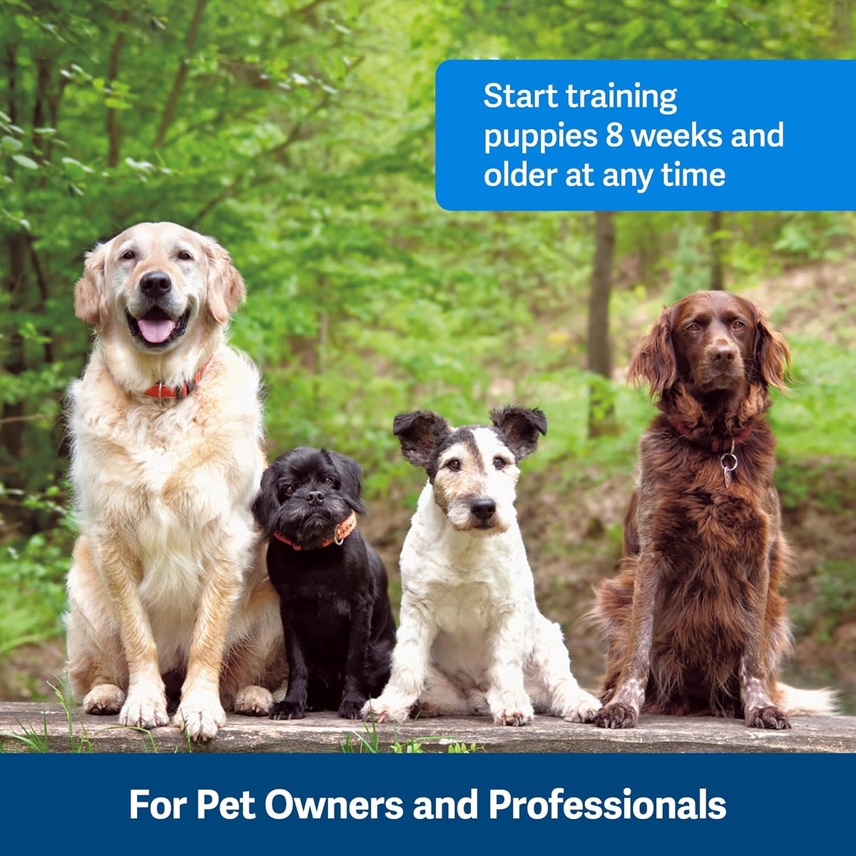 Clik-R Dog Training Clicker, Blue