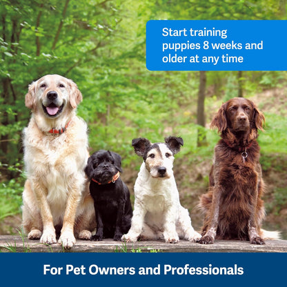 Clik-R Dog Training Clicker, Blue